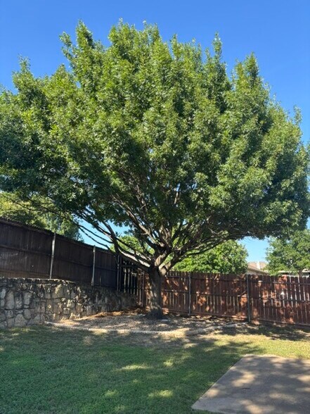 Building Photo - 9554 Byron Drive