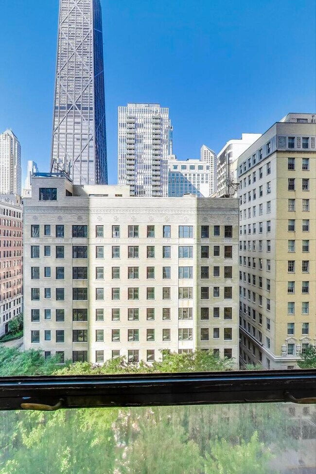 Building Photo - 900 N Lake Shore Dr