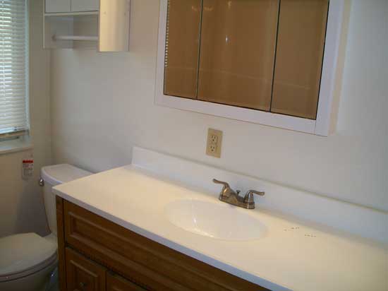 Bathroom vanity with medicine cabinet and lighting. - 502 Mercer Rd