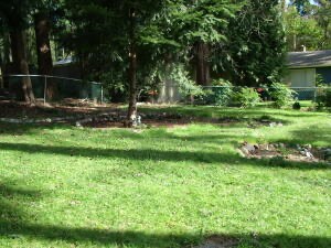 Building Photo - 1014 208th Ave NE