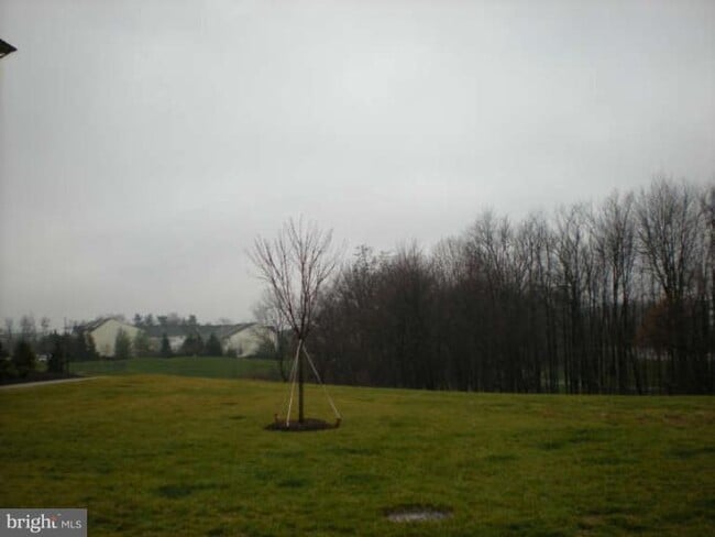 Building Photo - 3630 Spring Hollow Ln