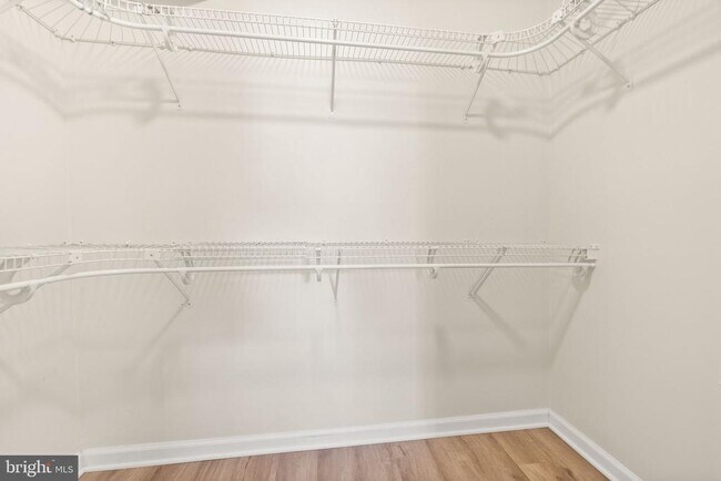 Building Photo - 2042 Royal Fern Ct