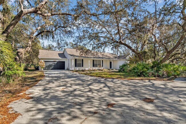 Building Photo - 11304 Balm Riverview Rd