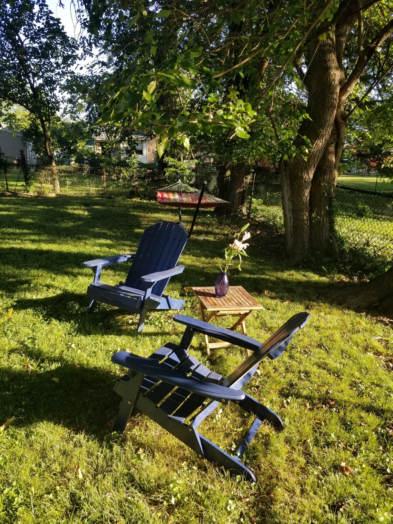 Spacious fenced yard - 811 Whittington Ter