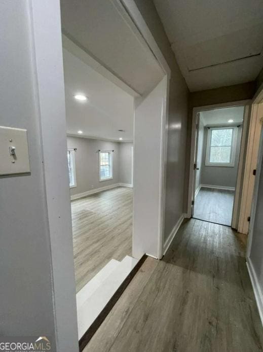 Building Photo - 2161 Park Terrace