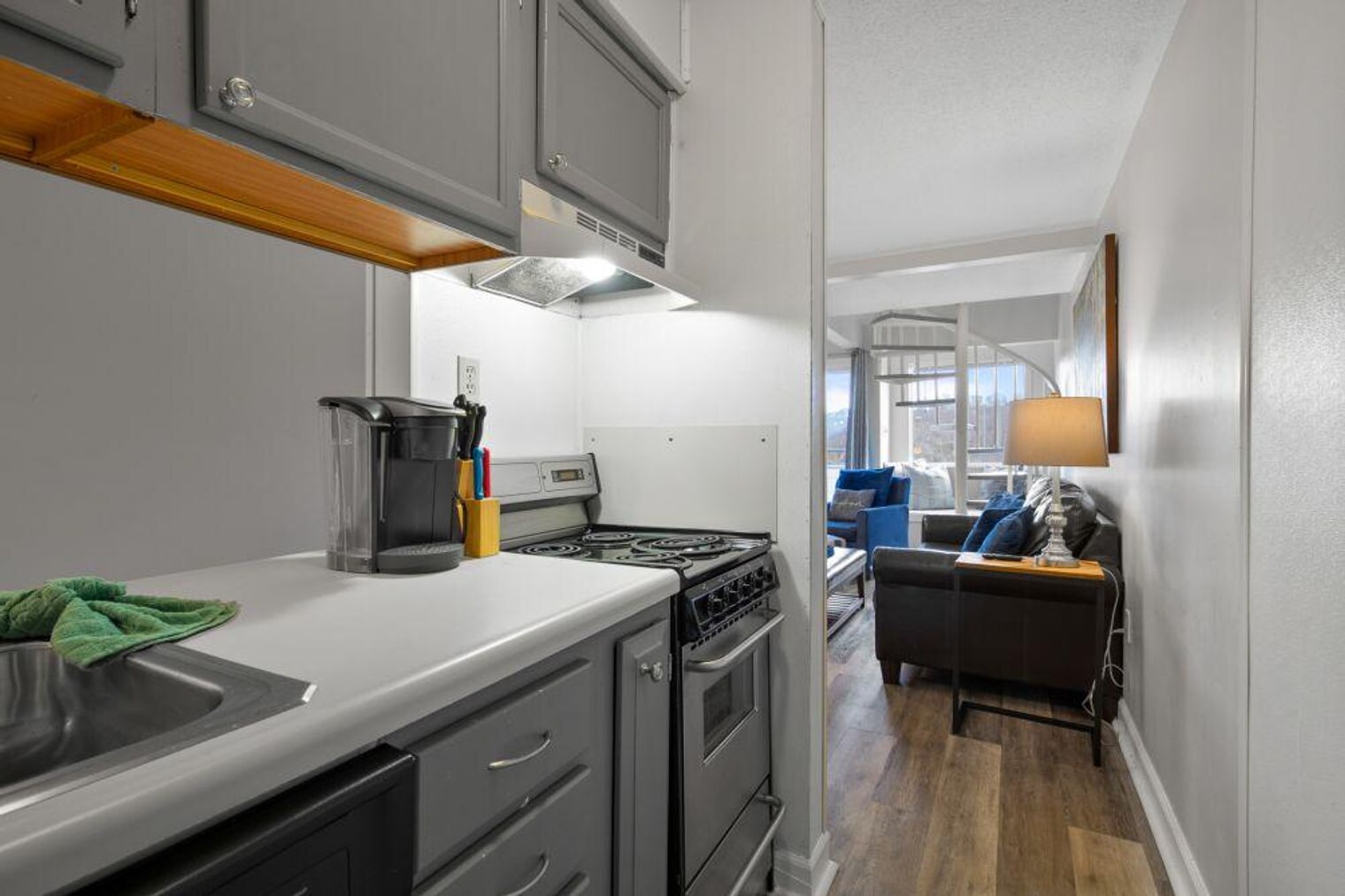 Building Photo - 1260 Ski View Dr