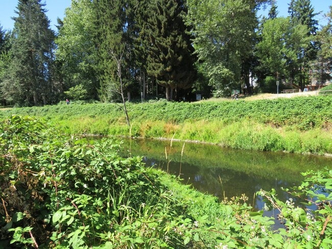 Building Photo - Redmond Downtown Charming 530 sf Studio $ 1695.00 includes parking