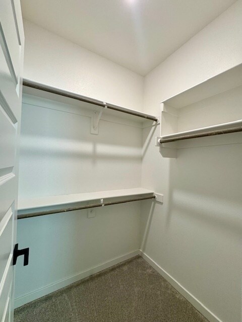 Building Photo - 5302 SW Firethorn Ln