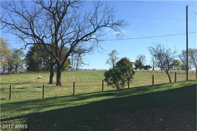 Building Photo - Country Living!