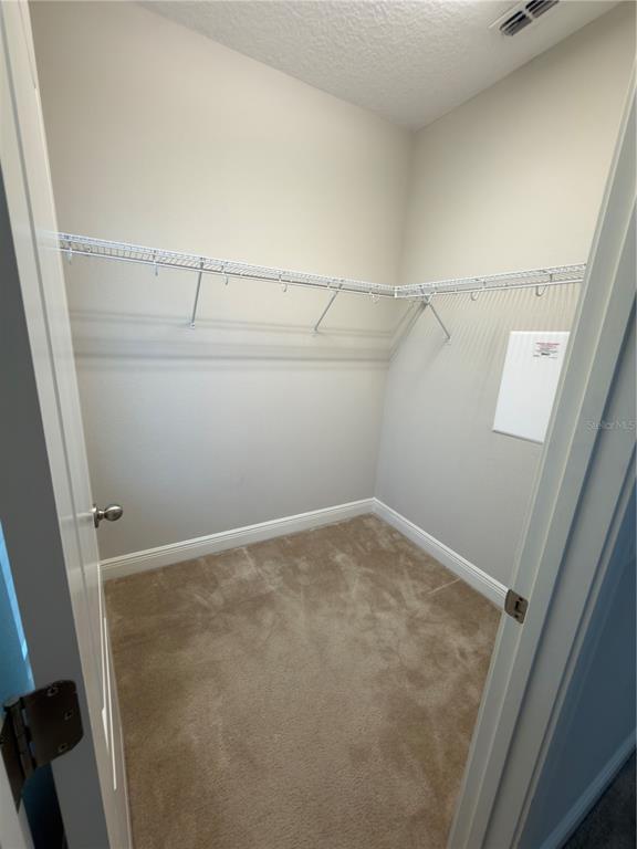 Building Photo - 15537 Honeybell Dr