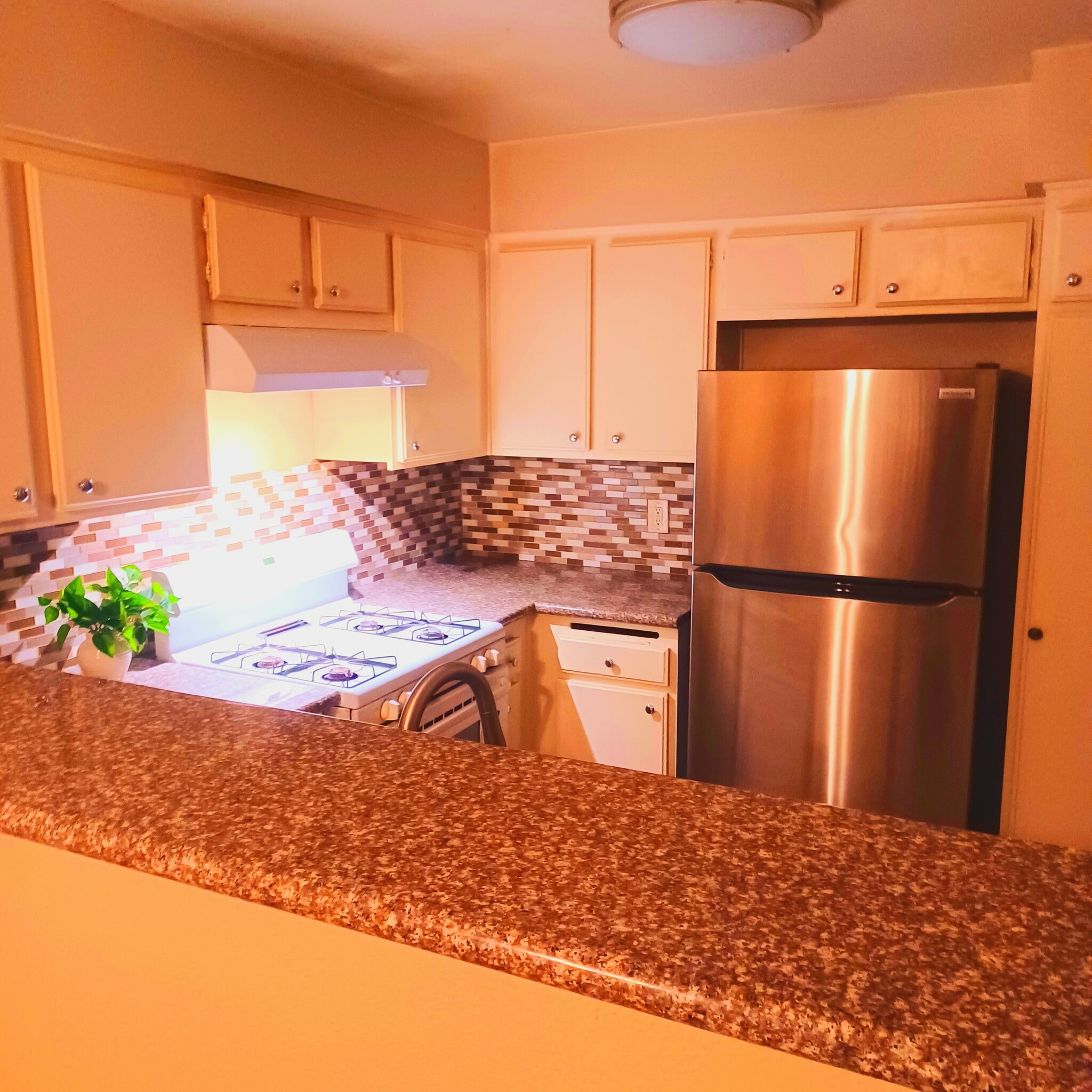 Updated Kitchen. Granite Counters. Gas Stove. New Stainless Steel Refrigerator - 1190 S Winery Ave