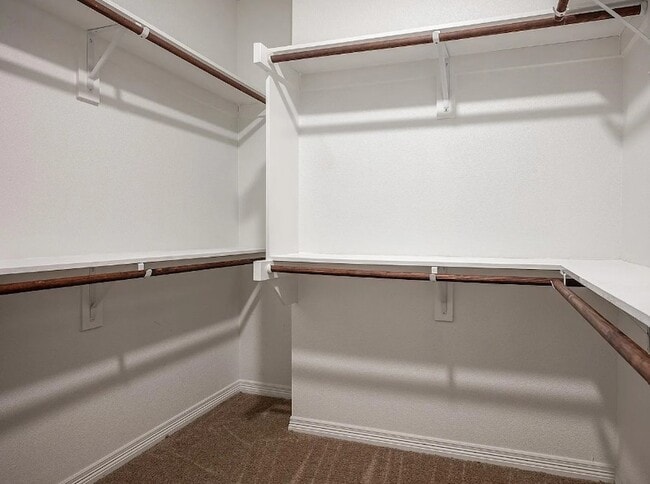 Building Photo - 2704 Vine Ct