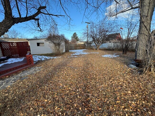 Backyard - 110 Elm St