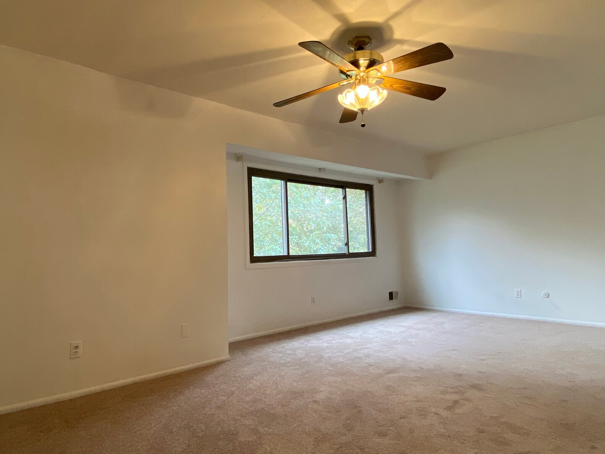 Building Photo - 713 E Brookside Ln