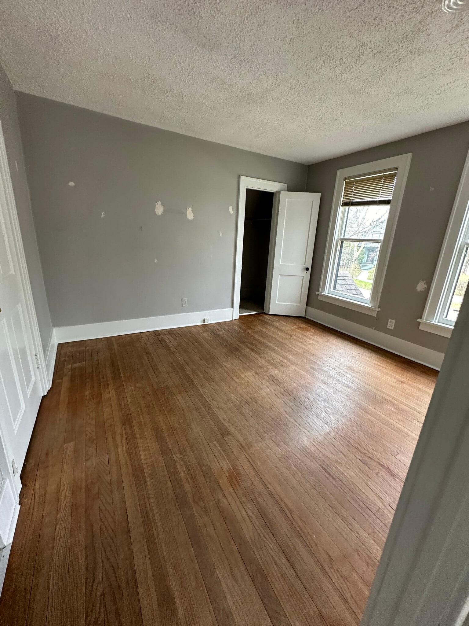 Living Area - 829 Miller Ave