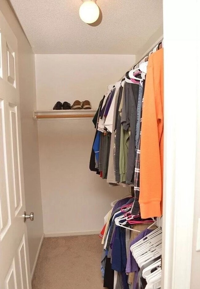 Building Photo - Quality Home Management