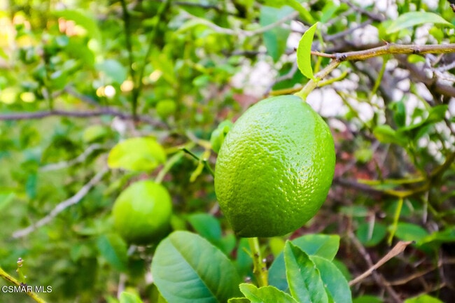 Building Photo - 4082 Avenida Verano