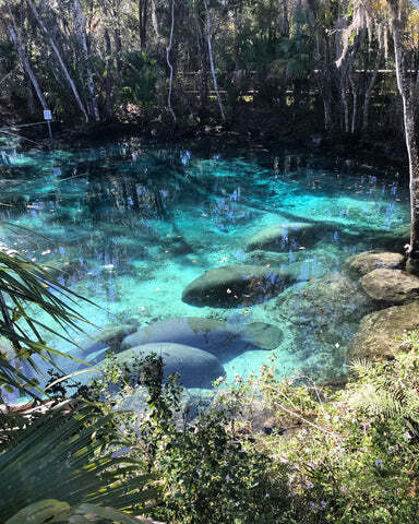 Building Photo - 1412 SE Paradise Ave