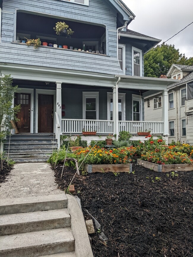 Primary Photo - 252 Buckingham Ave