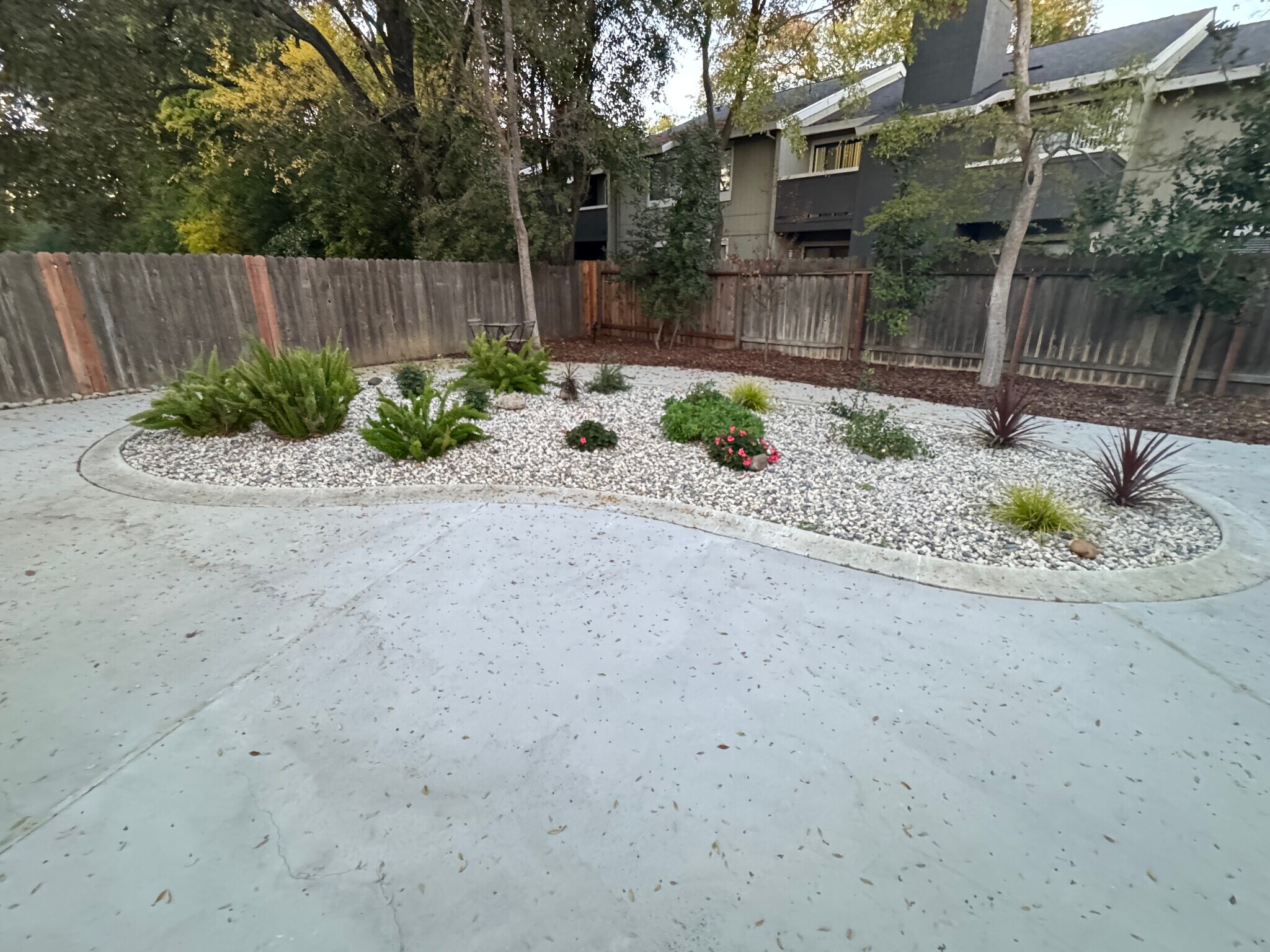 Backyard - 4903 Cowell Blvd