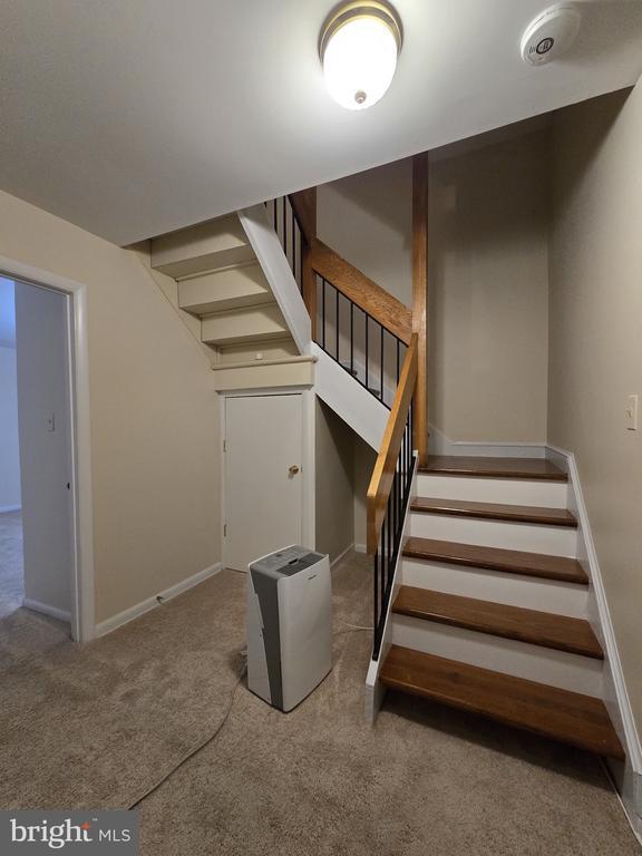 Building Photo - 11721 Newbridge Ct