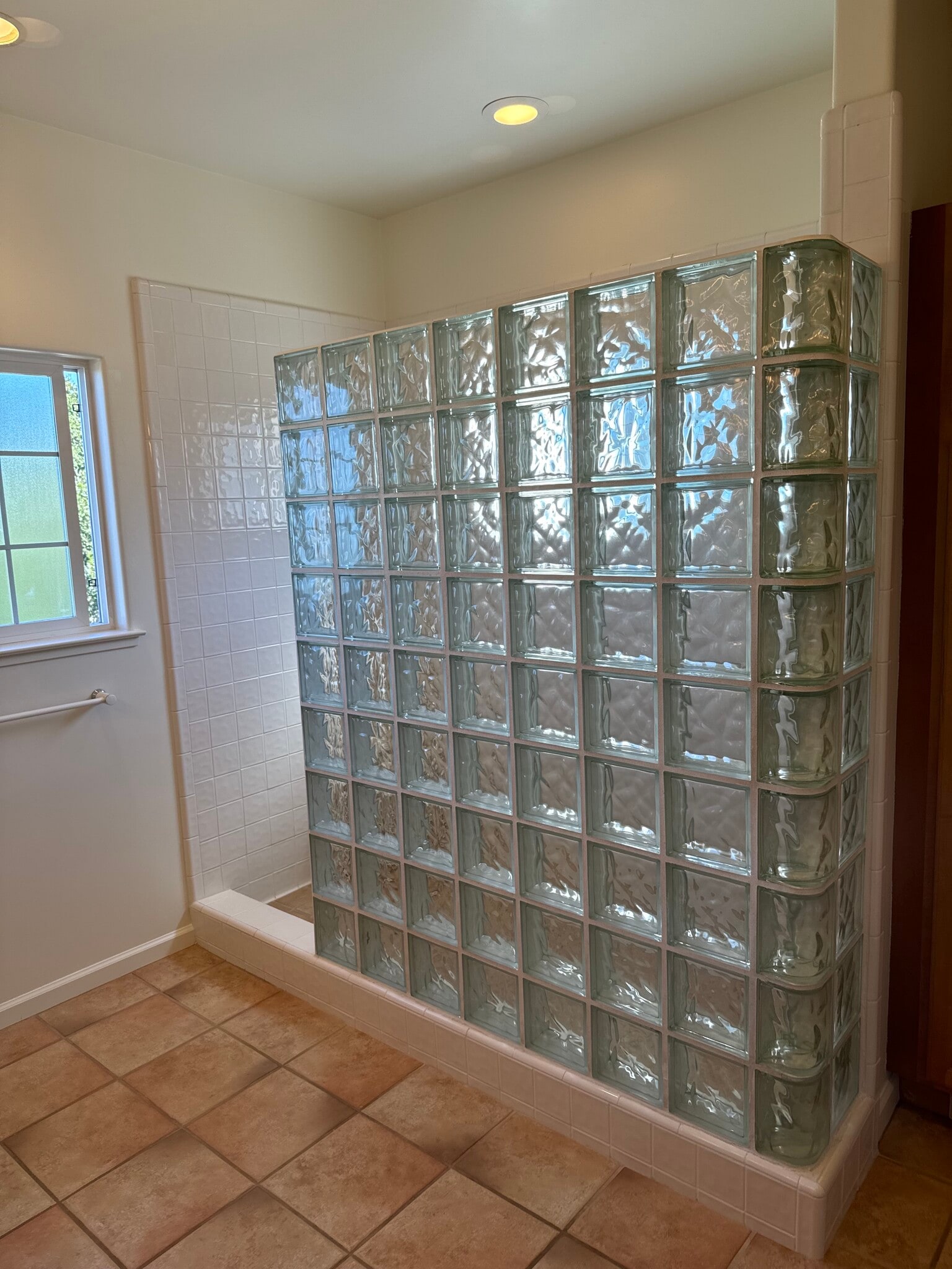 Walk in Shower - 746 Newton St