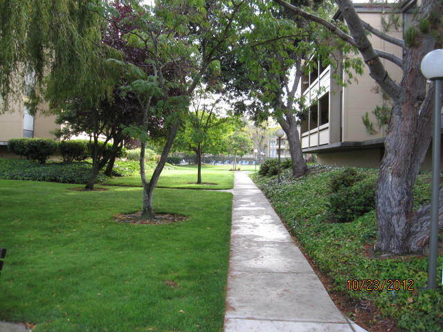 Primary Photo - 1131 Compass Ln