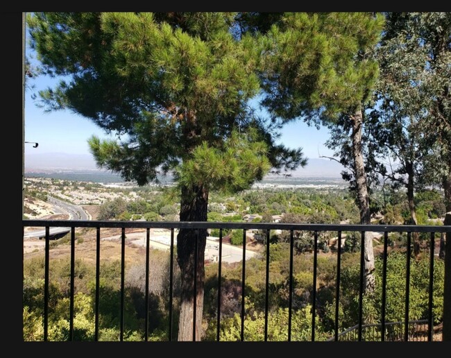 Building Photo - 2560 Avenida Del Vista