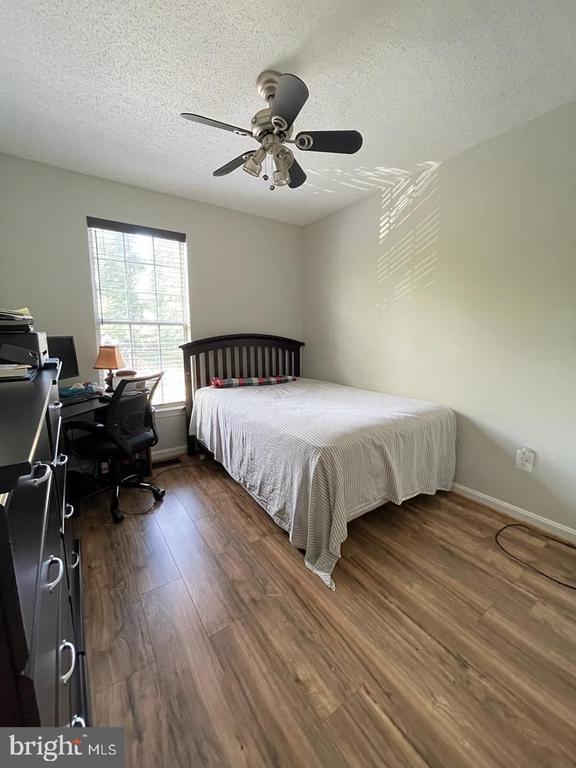 Building Photo - 2535 Little Vista Terrace