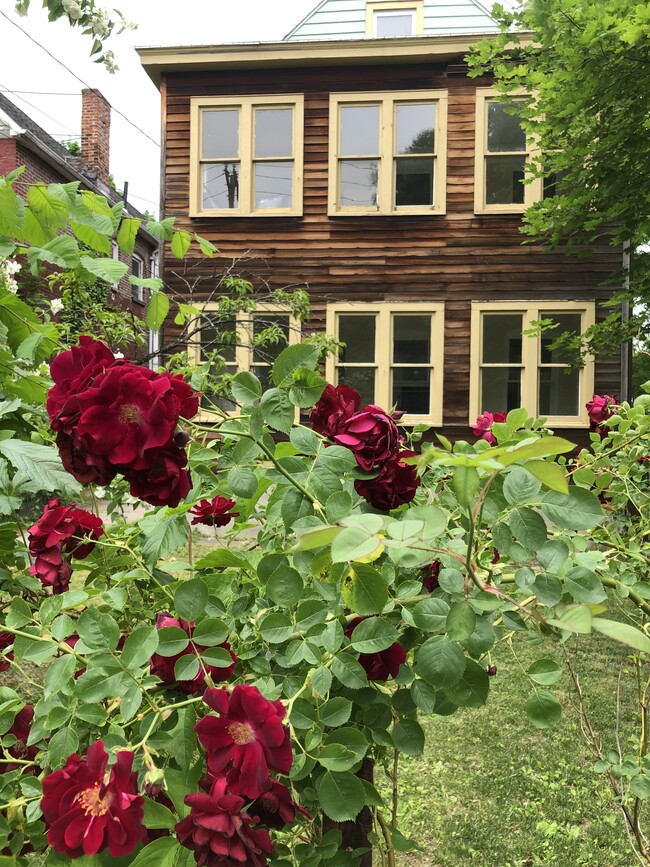 Front of House w/ Roses - 240 11th St