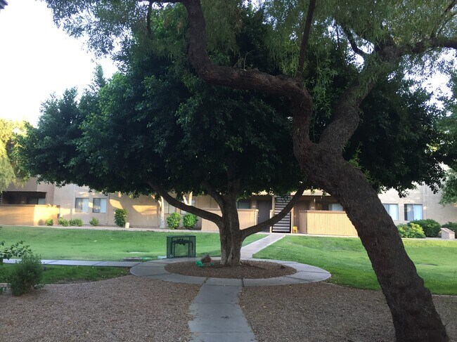 courtyard - 2938 N 61st Pl