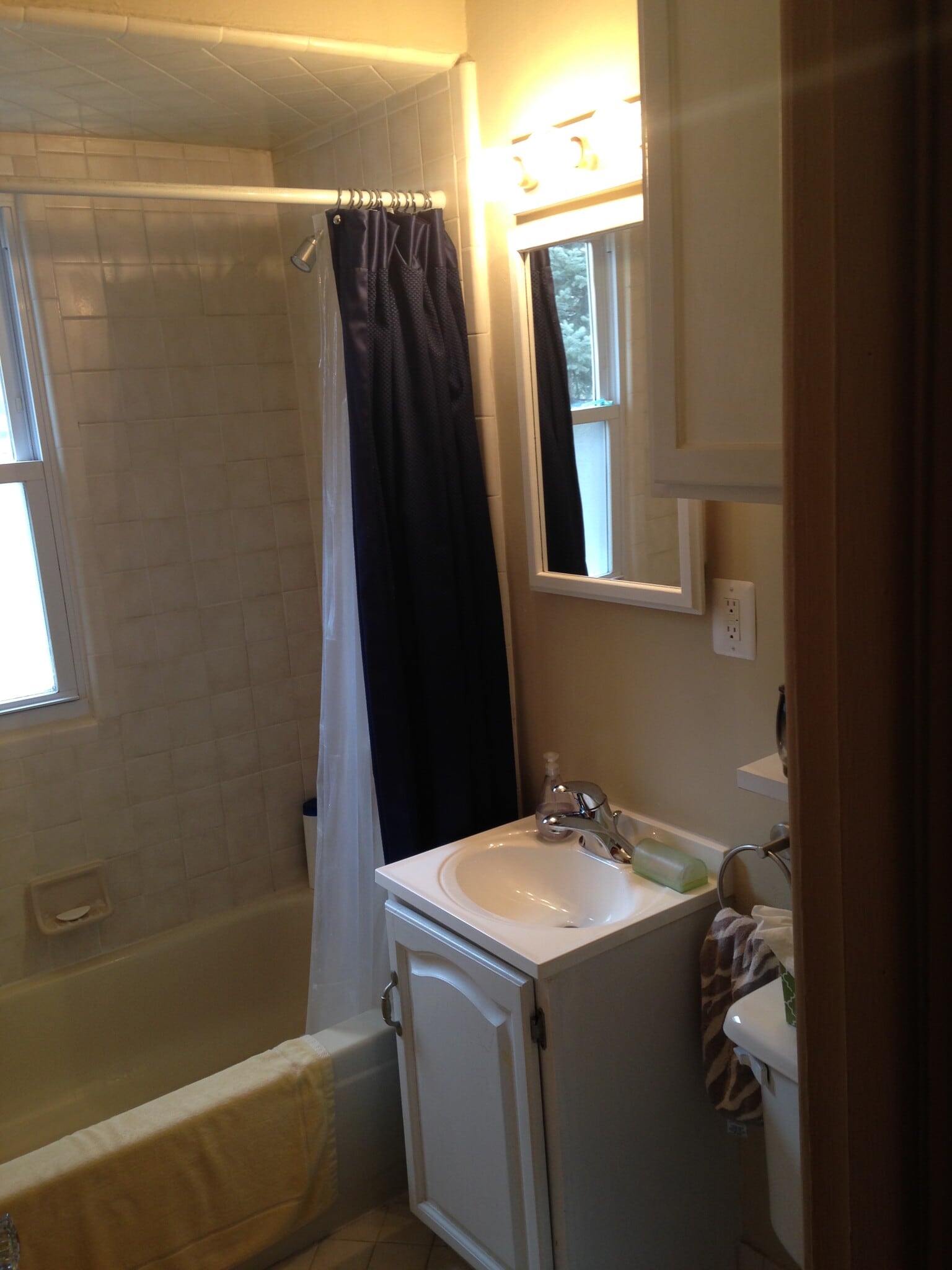 Window in Bath - 42018 Firwood Dr