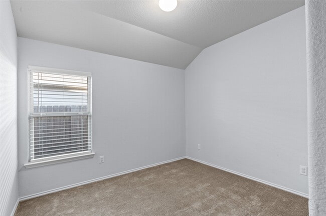 Building Photo - 2024 Cedar Tree Ct