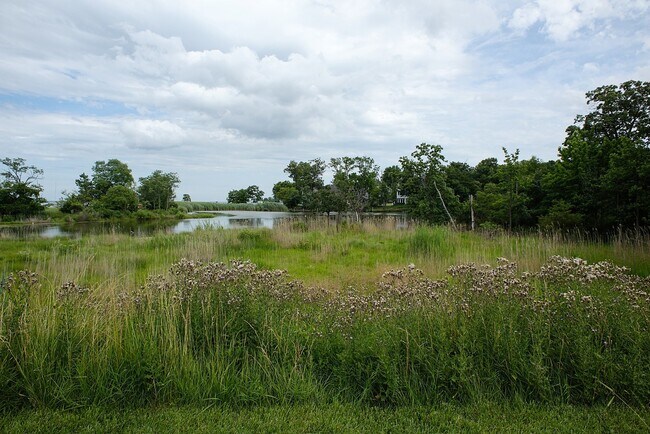 Building Photo - Townhome in the desired Chesapeake Harbour!!!
