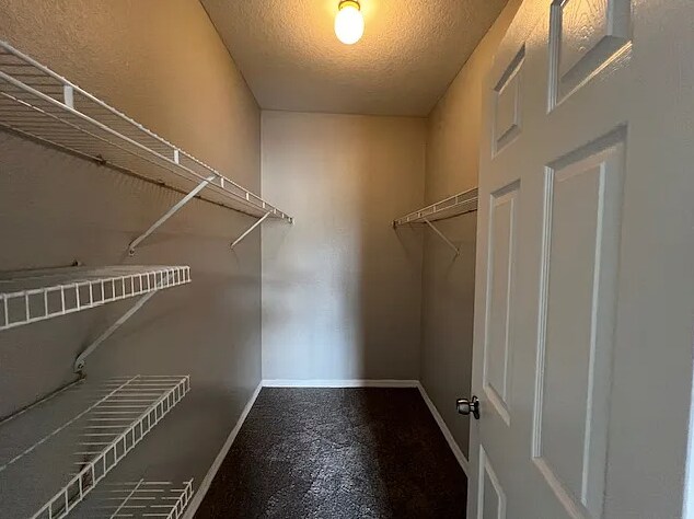 Building Photo - 821 Grand Regency Pointe