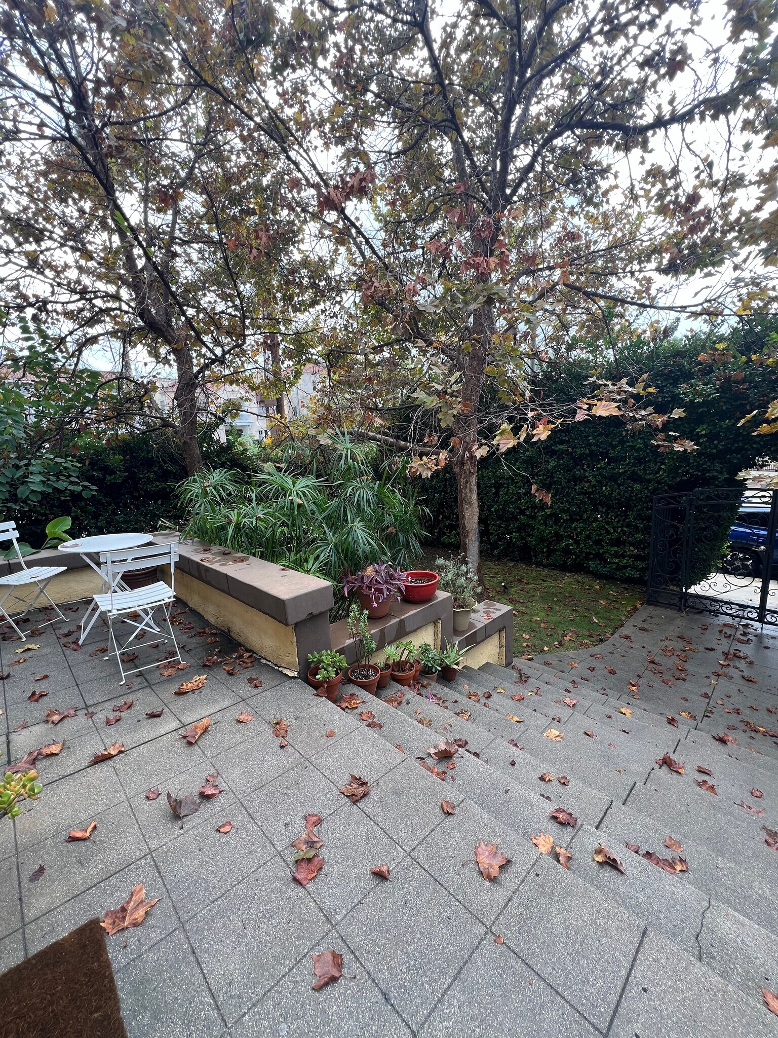 Front patio - 502 1/2 N Heliotrope Dr