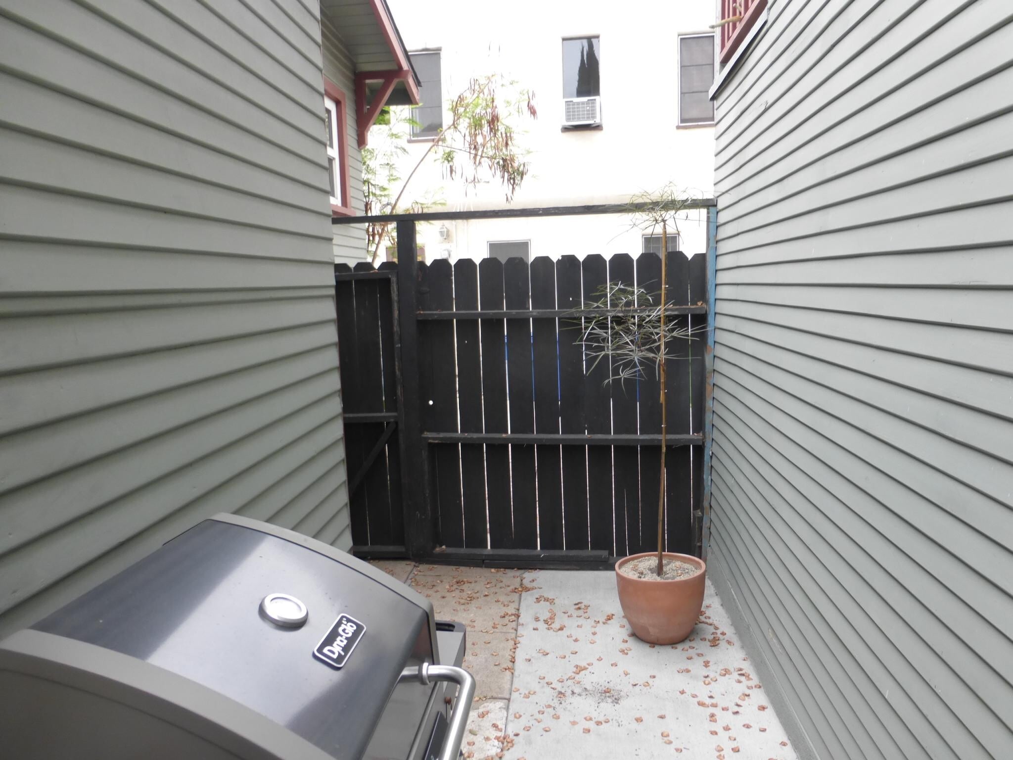Side patio - 1533 Maltman Ave