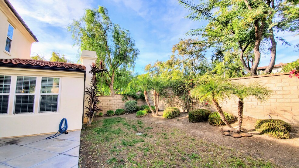 Backyard - 4317 Palazzo Ln