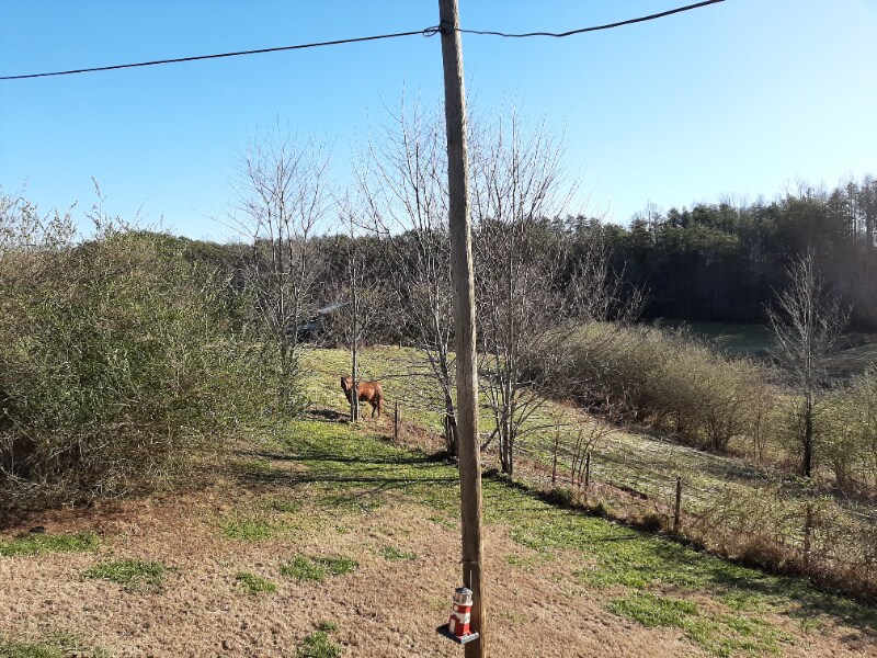 Building Photo - 885 Rural Hall-Germanton Rd