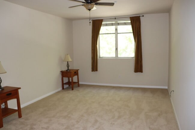 Building Photo - Spacious Downtown Condo