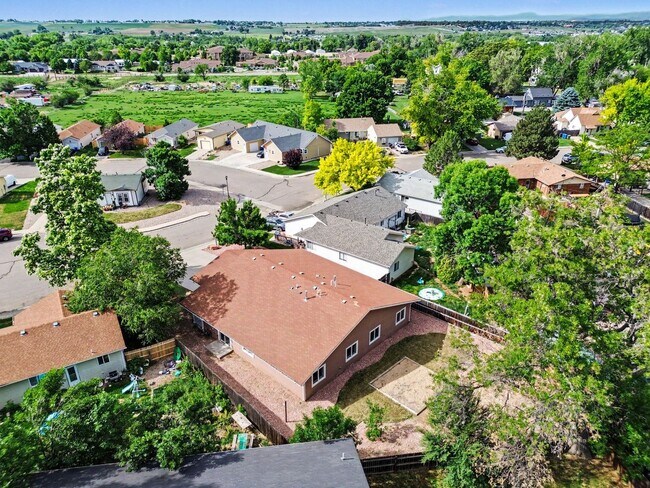 Building Photo - 3 Bedroom 1 bath Duplex available in Loveland