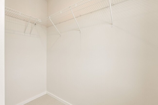 Building Photo - 4 Bedroom 3 Bath Stunning Brand New Town H...