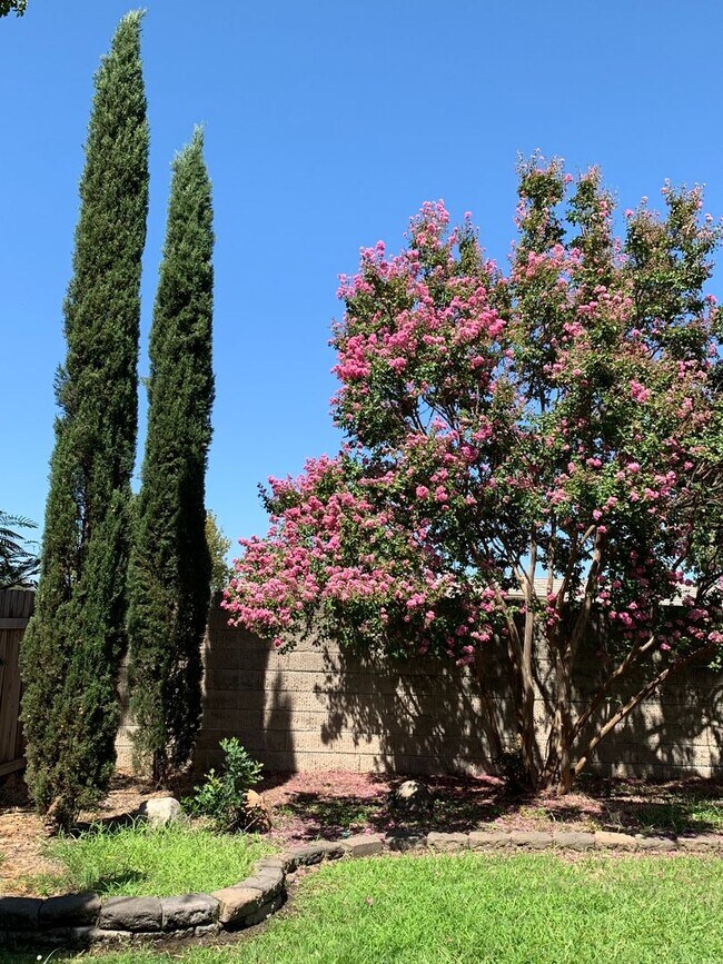 Building Photo - GRANITE BAY ~ HOME FOR RENT!