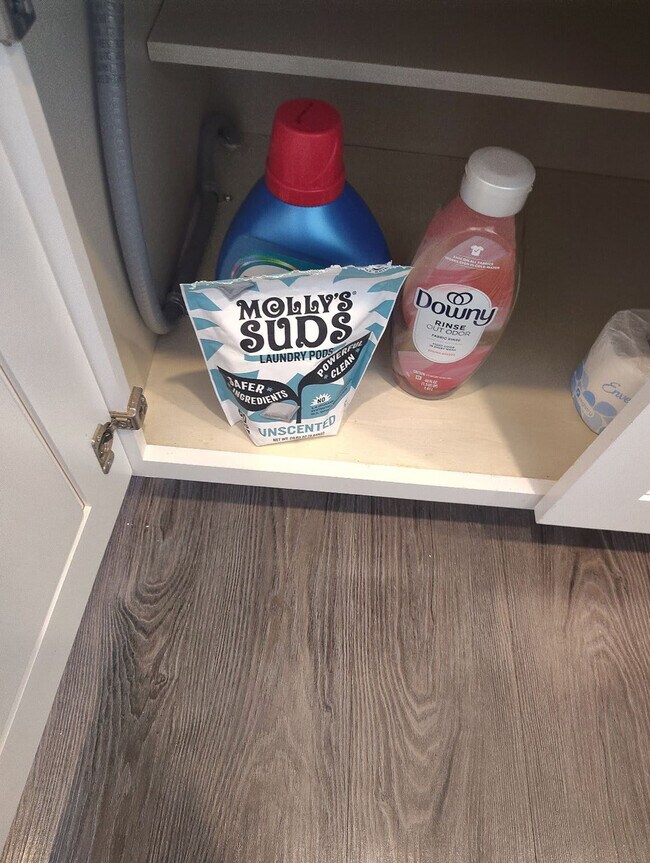 Building Photo - 205 Tiliwa Ct