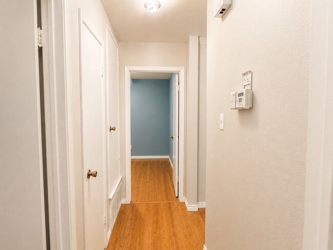 Building Photo - Great Home in South Austin - 78745 that backs to greenbelt