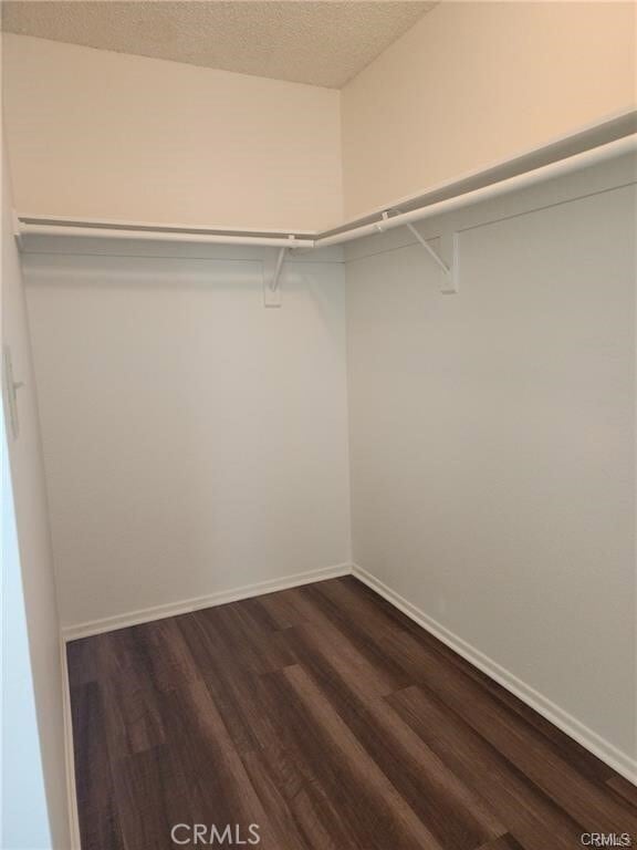 Building Photo - 2931 Plaza del Amo