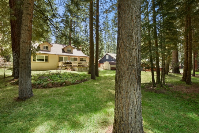 Building Photo - 531 Brassie Ave