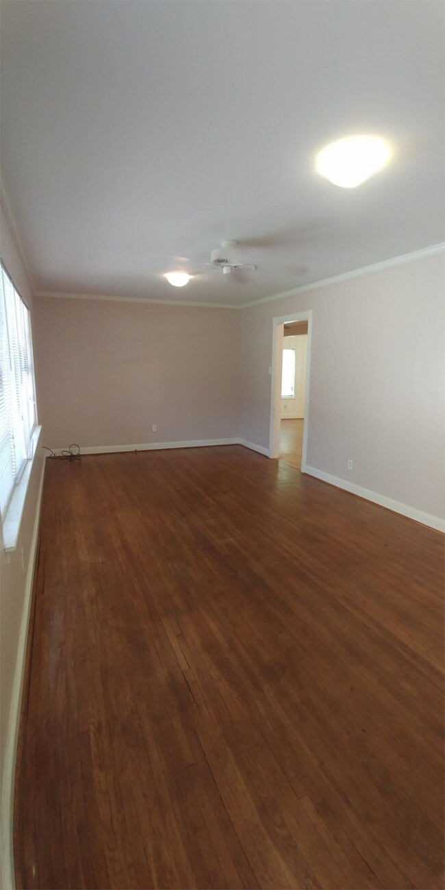 Primary Photo - 104 Caladium St