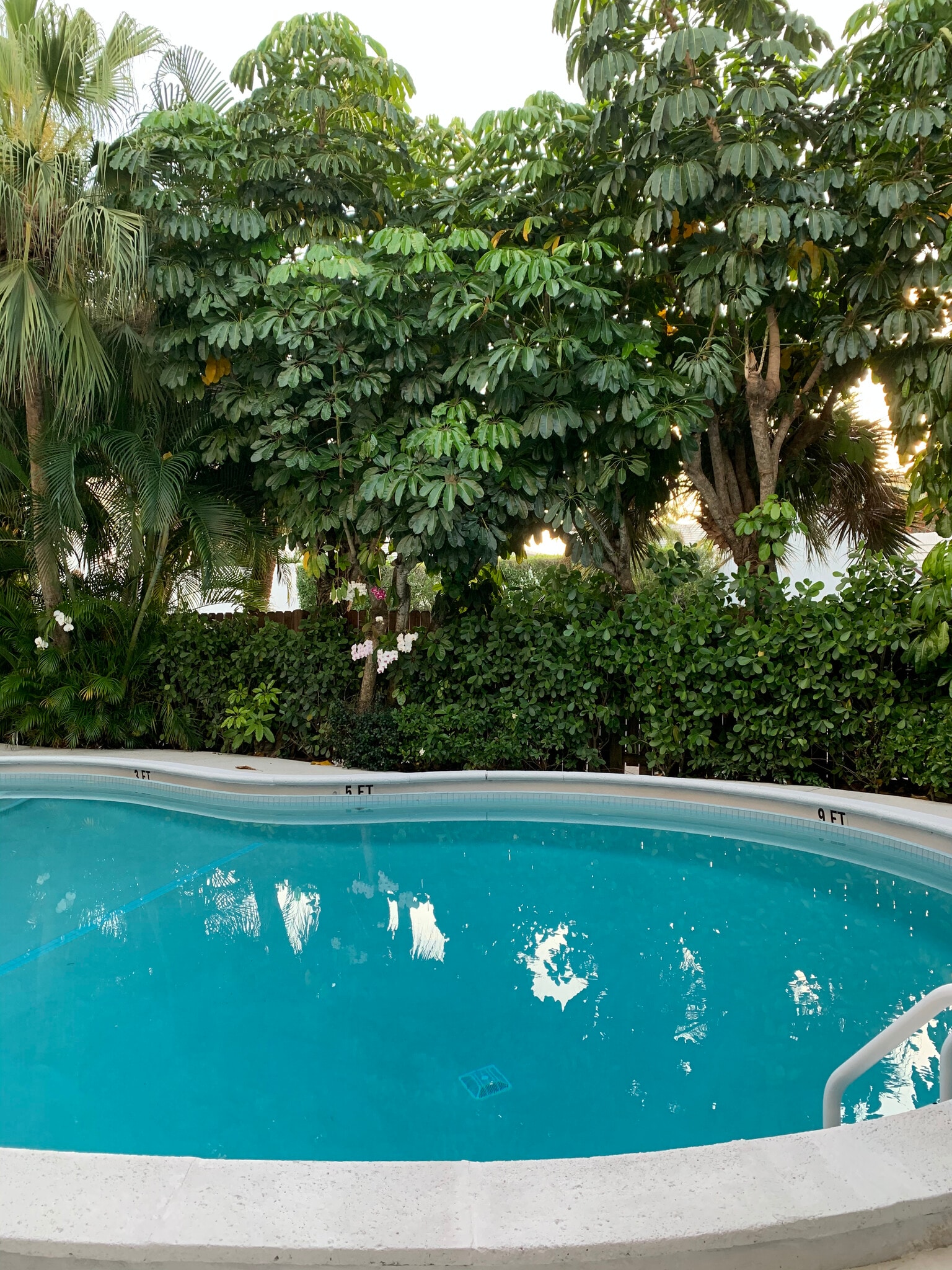 Pool - 401 Peruvian Ave