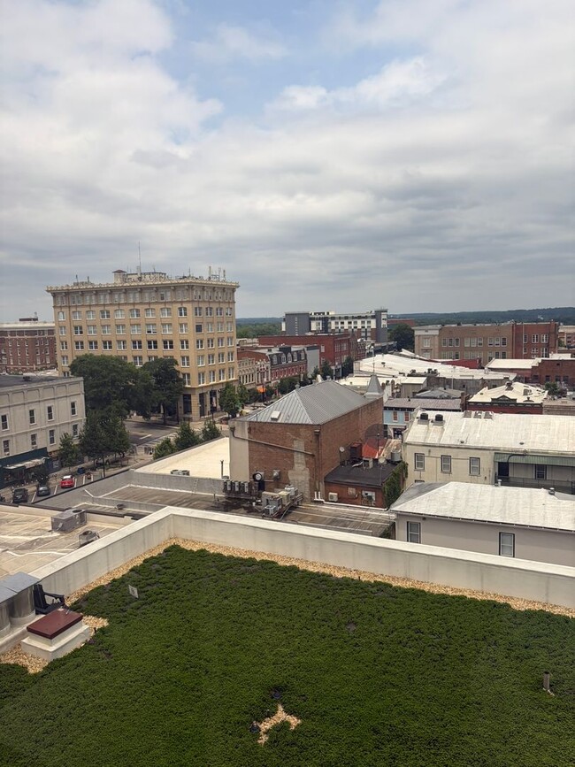 Building Photo - BEST VIEWS IN DOWNTOWN